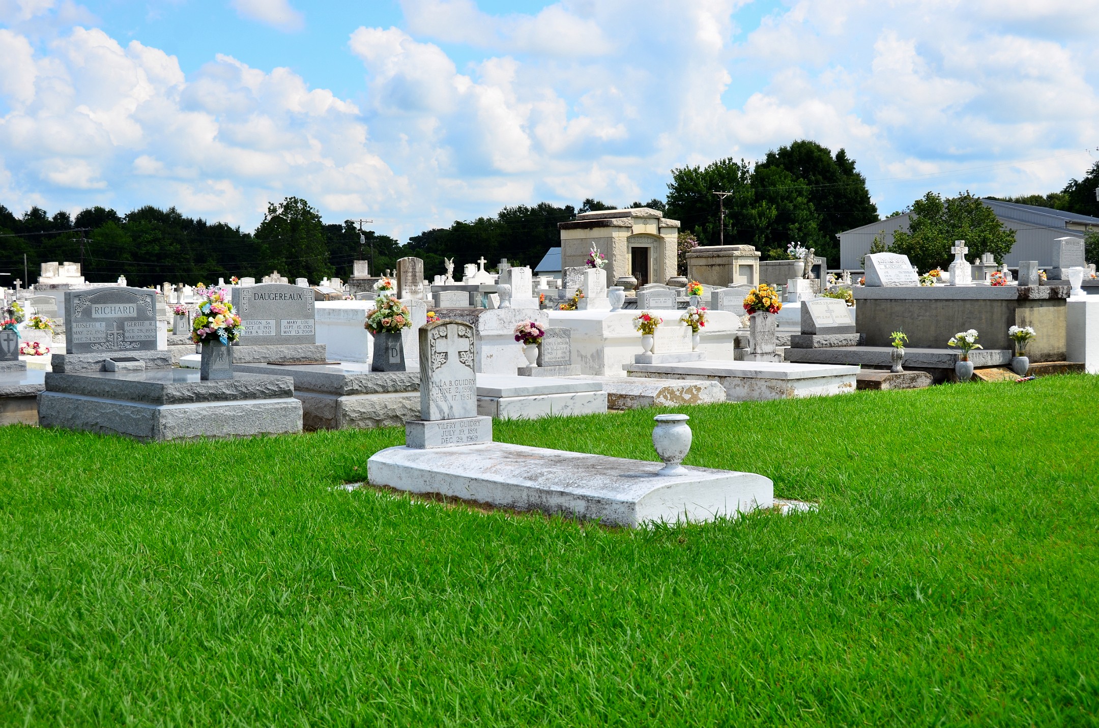 Our Lady of the Sacred Heart